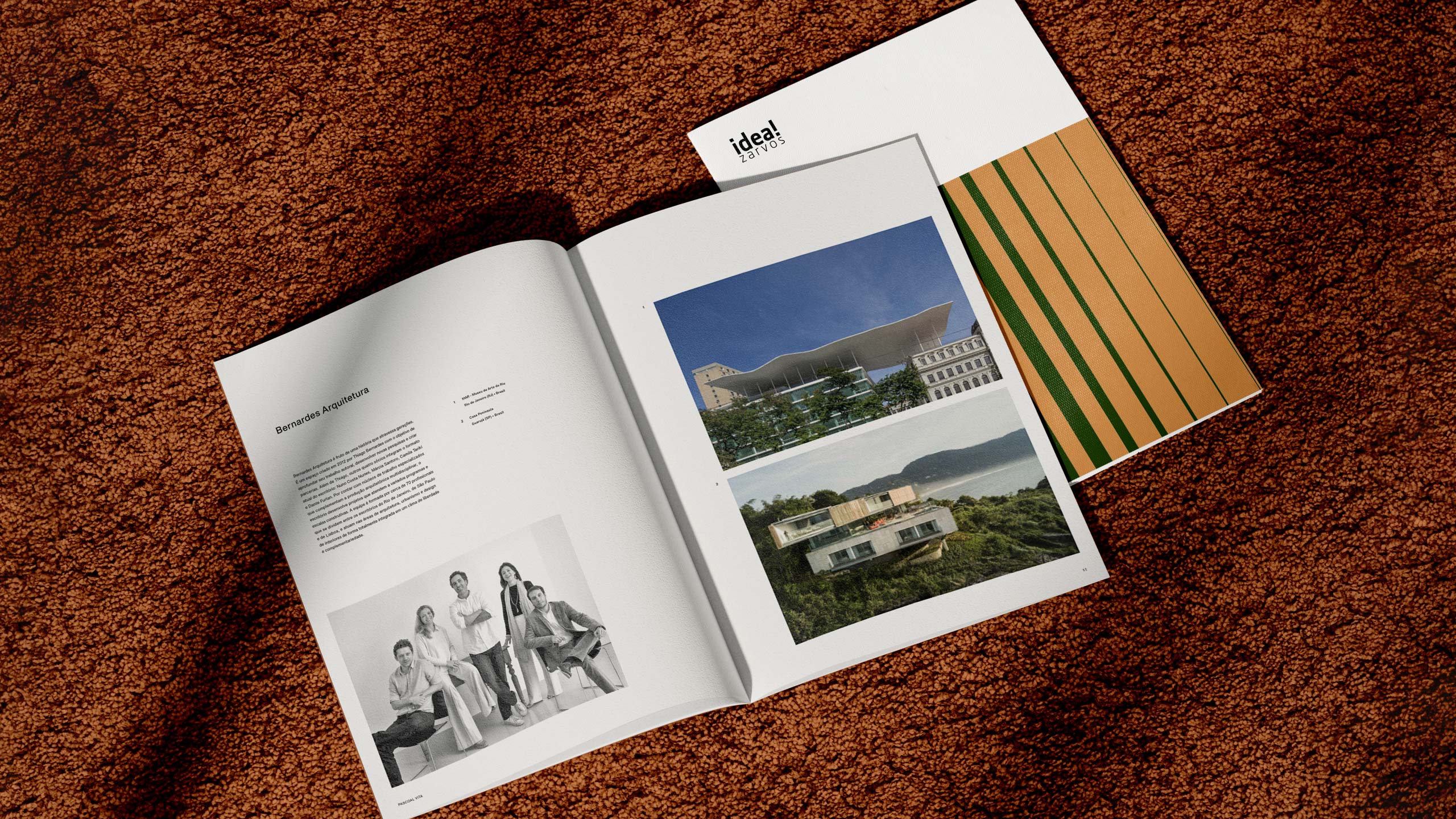 arnold_case_ideazarvos_04