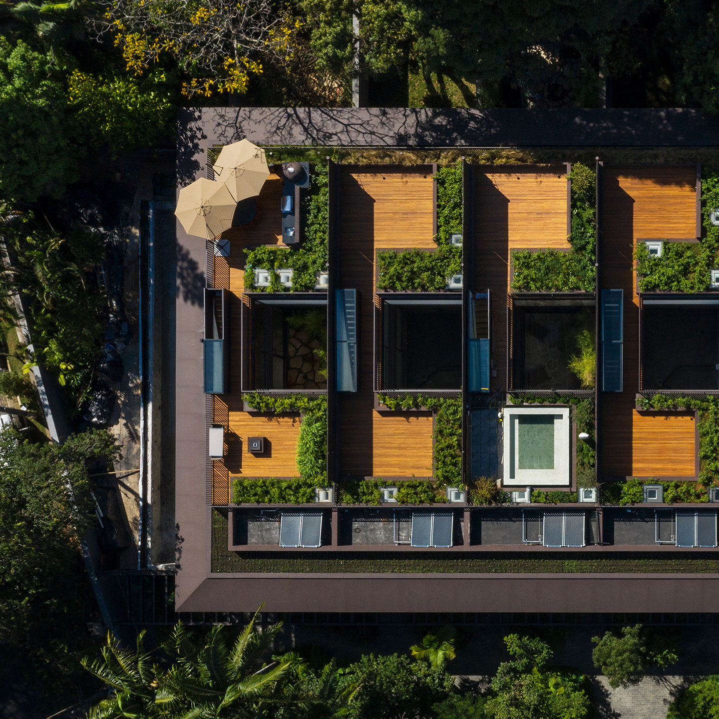 arnold_case_ideazarvos_16