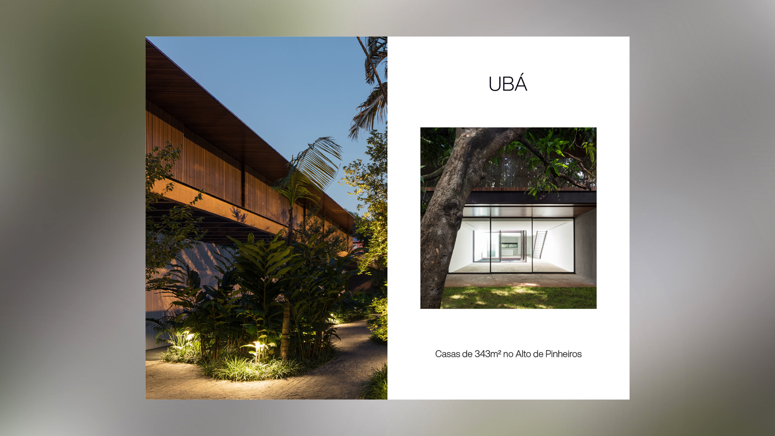 arnold_case_ideazarvos_20