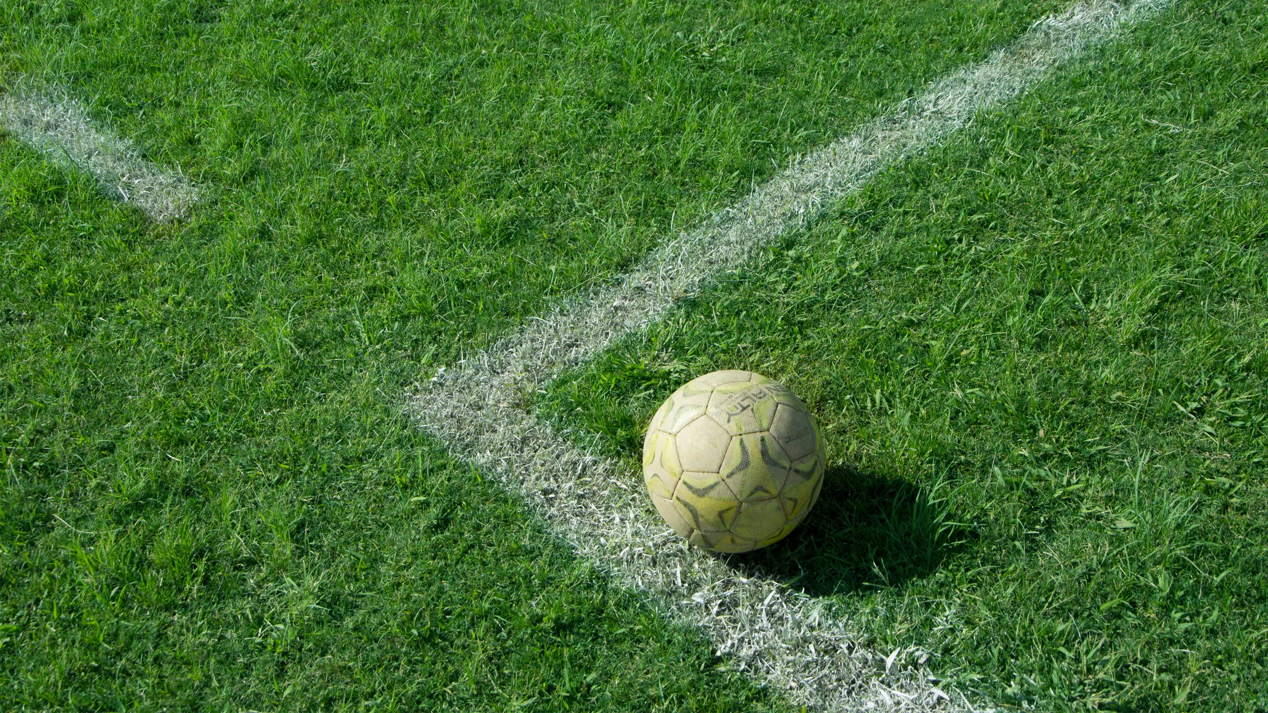 arnold_case_meninas-em-campo_20